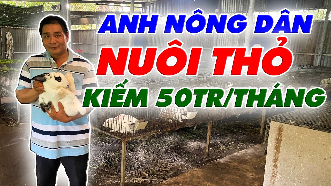 Mô hình nuôi thỏ lớn bậc nhất tại Tiền Giang