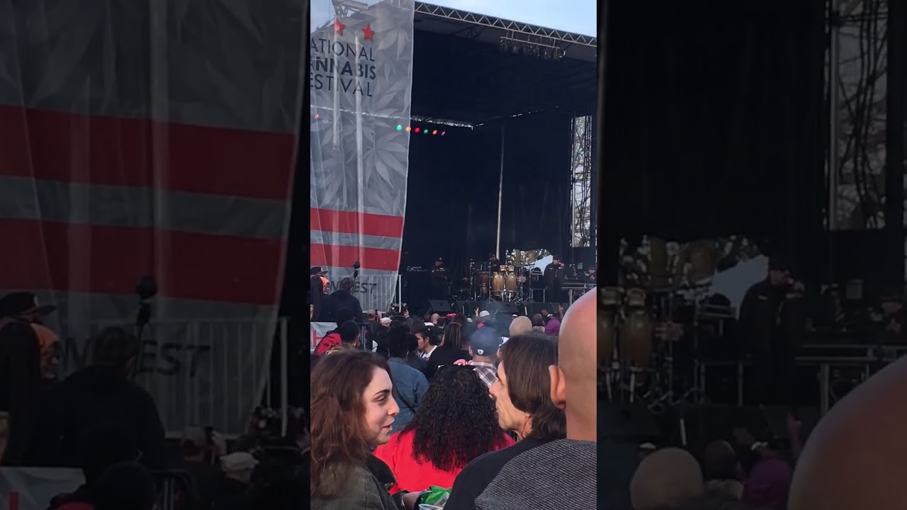 National cannabis festival 2018 chipress hill ( doctor green )