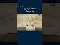 استعادة آثار سورية بعد 15 عاماً