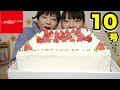 【大食い】驚愕の特大１０号ホールケーキを銀座コージーコーナーさんから頂きました！！【双子】