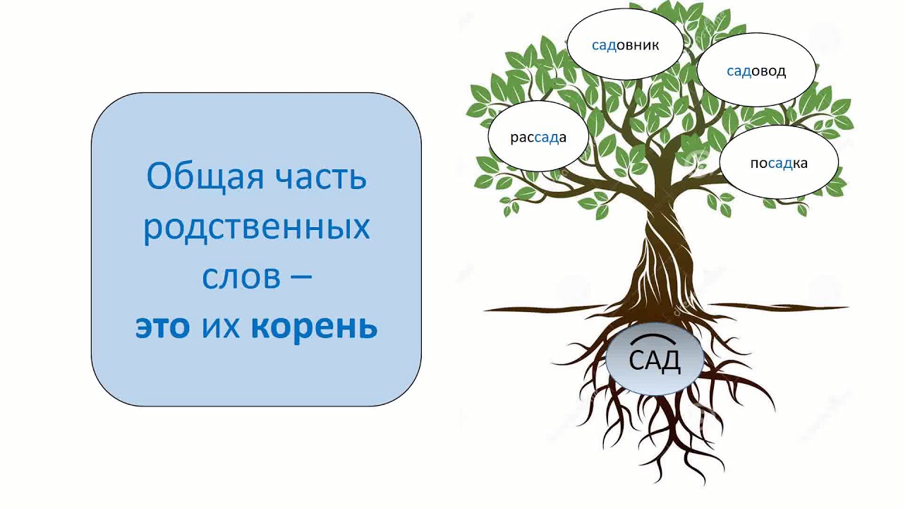 Знакомство С Родственными Словами 1 Класс Презентация