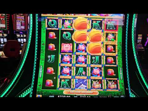 $125 Bets With My Lucky Charm