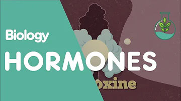 What do hormones do simple definition?