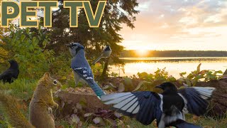 Cat Tv Dog Tv - Sunsets On The Lake Relaxing Nature For Dogs, Cats, & People