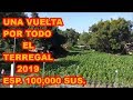 EL TERREGAL DE RAY, UNA VUELTA A TODO EL ESPACIO 2019 🎁🎁🎁 ESPECIAL 100,000 SUS.