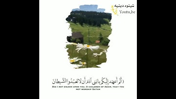 القارئ هزاع البلوشي 💚((إِنَّ أَصْحَابَ الْجَنَّةِ الْيَوْمَ فِي شُغُلٍ فَاكِهُونَ)) قران مريح وهادئ