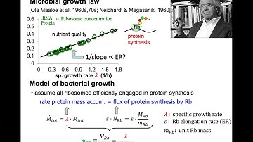 Terry Hwa, UC San Diego, give presentation at UGA Institute of Bioinformatics