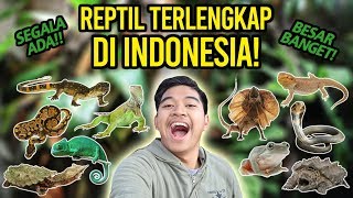 BATU SECRET ZOO PART 2 | JAWA TIMUR PARK 2 | REPTIL TERLENGKAP DI INDONESIA!!