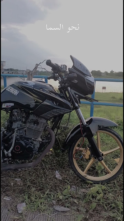 YA NURUL HILAL🎶||STORY WA 30 DETIK||TIGER GHENOS 🚀