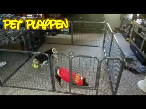 Dogs Playpen heavy duty stainless steel 8 panel Unboxing and review /Paws and pals /Chewy