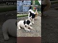 Когда мама хочет признавание #юмор #смех #прикол #рекомендации #мем #смешновидео #комедия #смешно