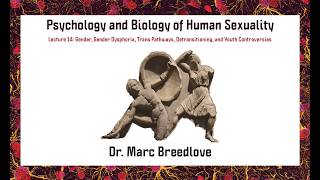 14.Human Sexuality: Gender Dysphoria, Trans Pathways, Detransitioning, and Youth Controversies