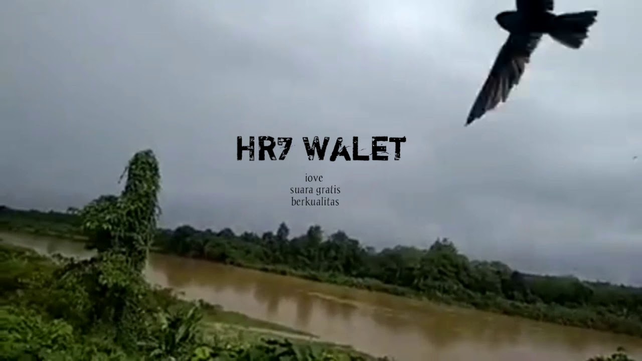 TESTIMONI LUAR BIASA dri SP TARIK SENJA JANUARI 2021 langsung masuk rumah hanya dengan suara dri HP