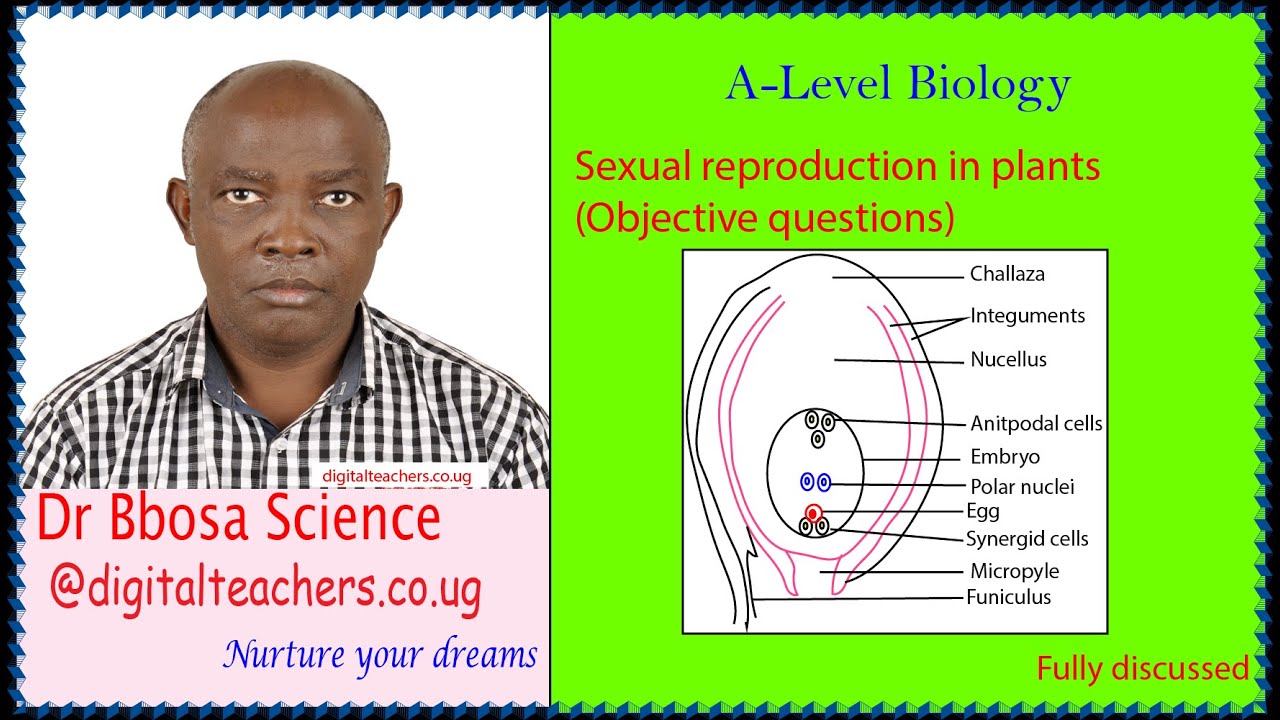 A-level biology lesson 41: Sexual reproduction in plants objective questions by Dr. Bbosa Science