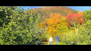 Dorset, Vermont Living the Way it was Meant to Be.