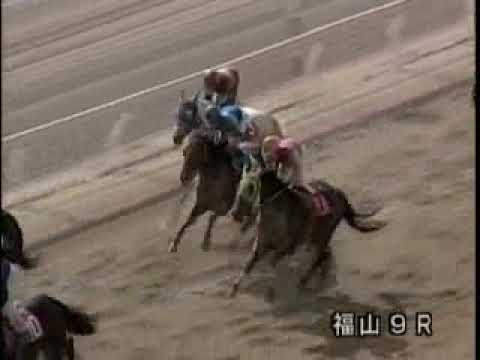 2009年度福山競馬アラ系a1競走 桜鯛特別 Youtube 2009年度福山競馬アラ系a1競走 桜鯛特別 Youtube