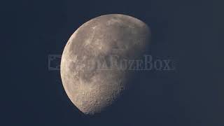 Stock Video - Clouds moving over the moon during Waning Gibbous phase at dawn