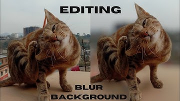 How to blur the background of a picture using snapseed app