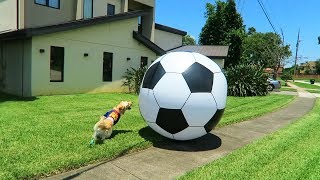 WORLD PUP 2018 (Giant 6 Foot Soccer Ball)