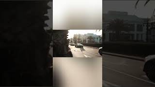 Download Lagu Burna Boy ft Khalid - Wild Dreams(lyrics)     #shorts #viral #lyrics #music #khalid #burnaboy MP3