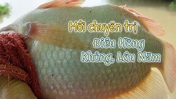 MỒI CÂU CÁ ĐIÊU HỒNG SIÊU NHẬY CHUYÊN TRỊ CÁ ĐIÊU HỒNG KHỦNG,CÁ LÂU NĂM - CẦN THỦ VLOG