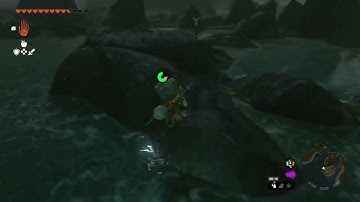 [DAY 504] of finding one korok seed in TotK everyday until we get them all