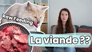 Which raw meat to feed your cat?? | Raw Feeding