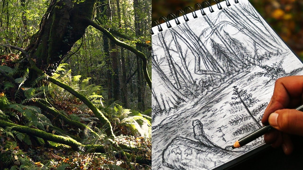Sketching with me out in the Great Forest | Art Ambience - YouTube