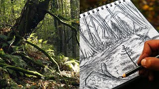 Sketching with me out in the Great Forest | Art Ambience