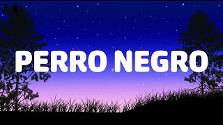 Bad Bunny x Feid - PERRO NEGRO (Letra/Lyrics)