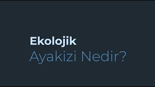 Ekolojik Ayakizi Nedir? B04