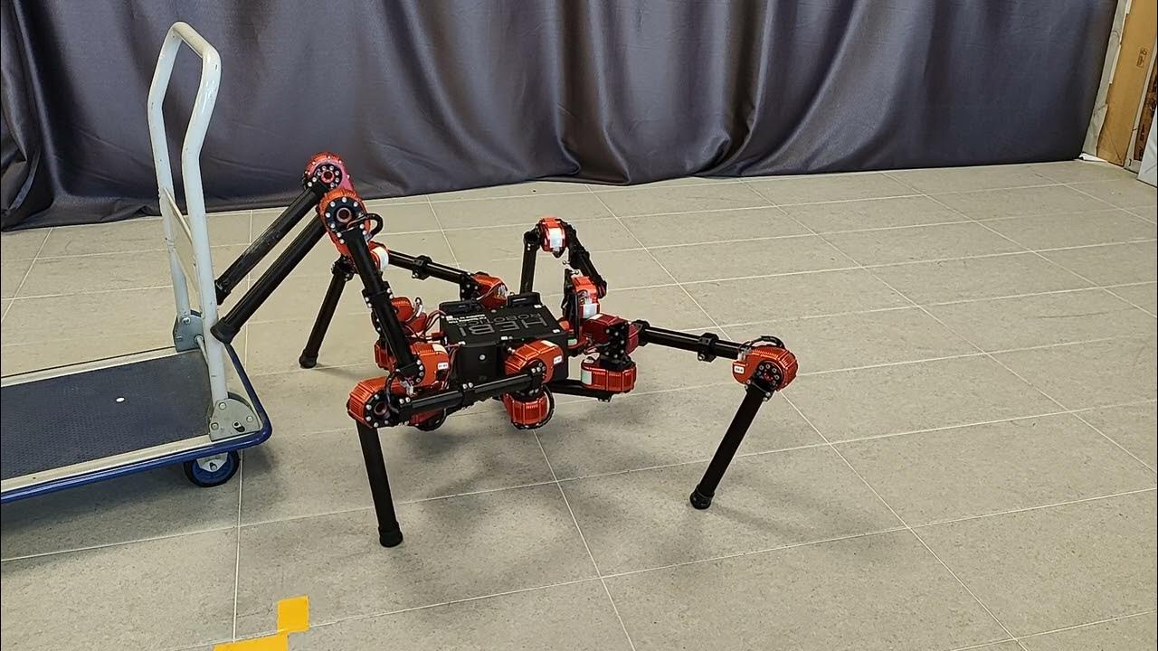 pushing-a-wheeled-cart-using-a-hind-legged-gait-youtube