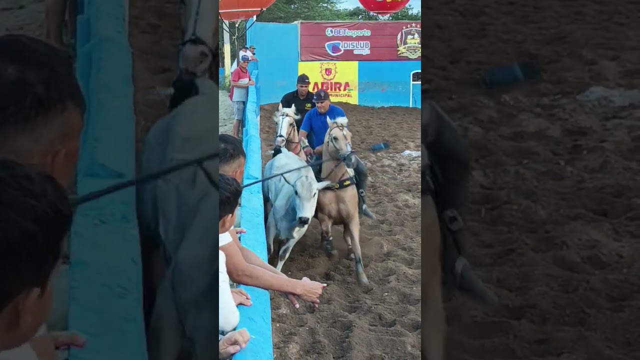 Vaquejada Ekwos em Tabira