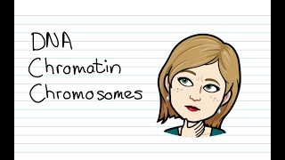 Dna, Chromatin And Chromosomes