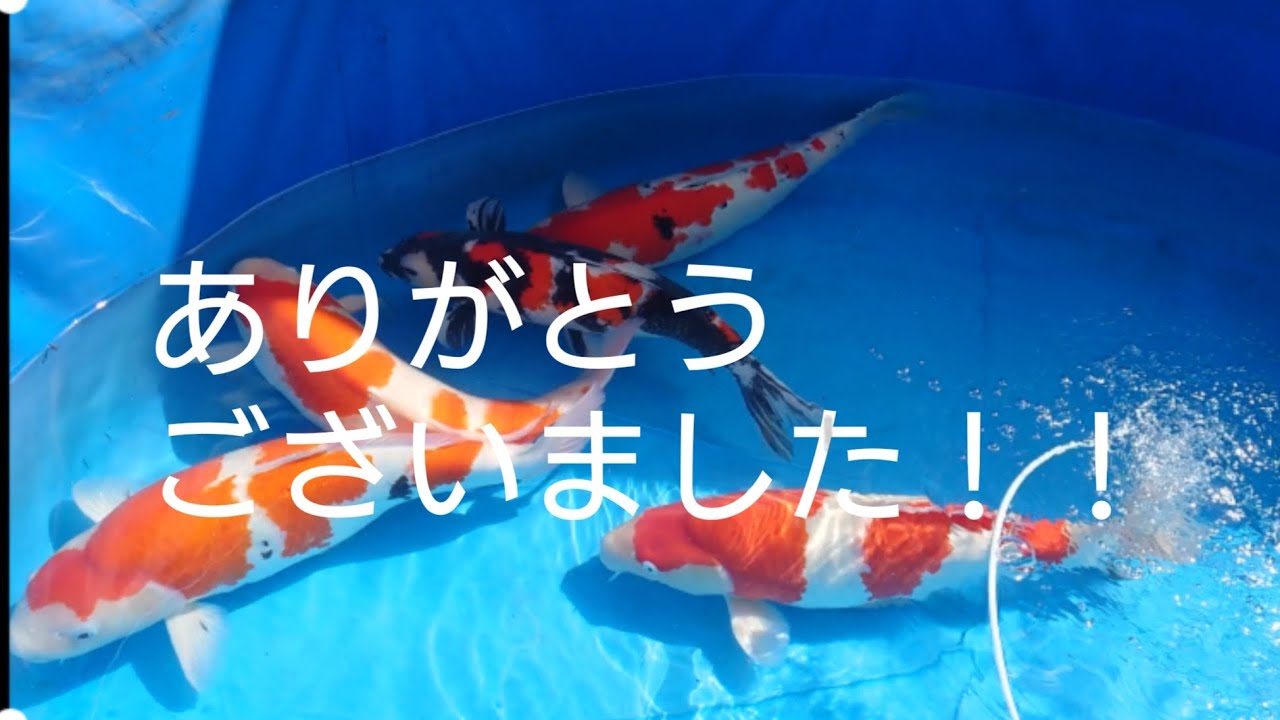 GW中はありがとうございました！ - YouTube