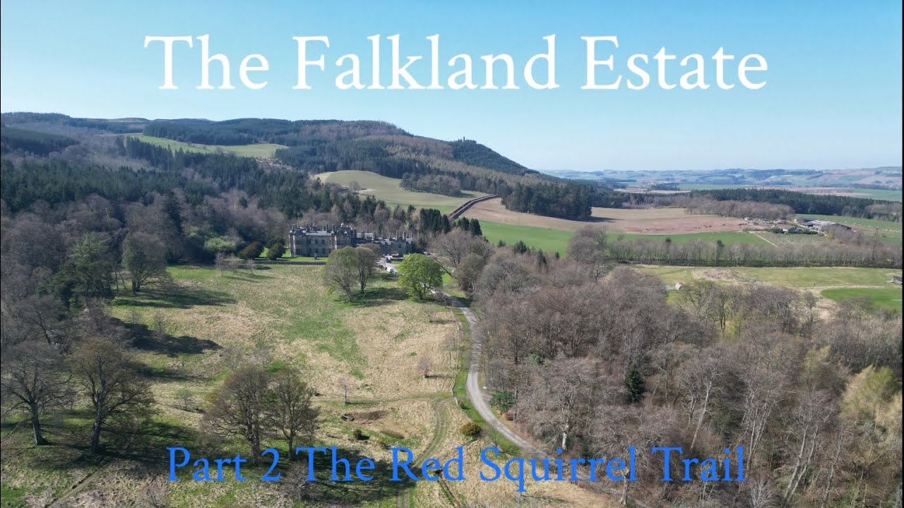 The Falkland Estate : The Red Squirrel Trail | 4K Walking Tour | Fife | Scotland