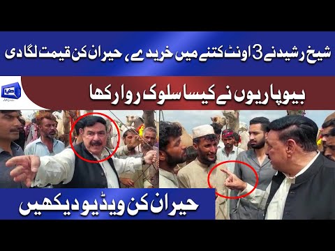 Bari Qeemat - Sheikh Rasheed ne kitne ma Janwar liya