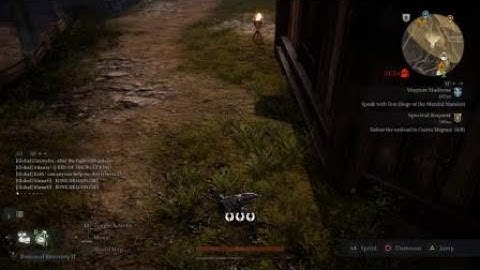 Bless Unleashed stuck in the ground