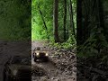 1/10 Scale RC Car CrossRC XT4 EMO