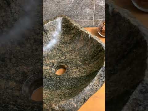 Black Swan.Раковина из