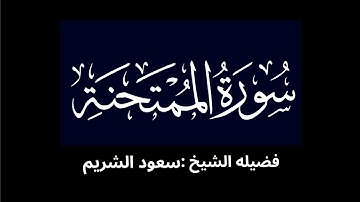 كروما شاشه سوداء سورة الممتحنة كاملة لفضيلة الشيخ :سعود الشريم 🌴