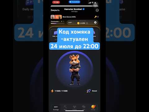 Шифр хомяка 23-24 июля
