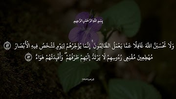 تلاوة عطرة لما تيسر من سورة إبراهيم