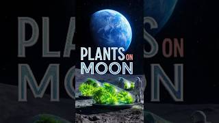 First Moon Garden Growing on Lunar Soil #shortsfeed #usatech #futuretech #aifacts