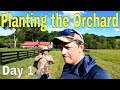 Planting Fruit Trees; Part 1
