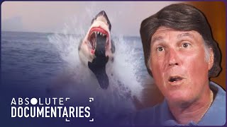 Shark Business: Extreme Shark Encounters Unveiled | Blue Realm | Absolute Documentaries