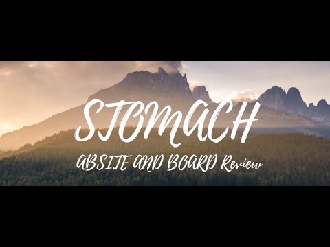 Stomach ABSITE and Board Review