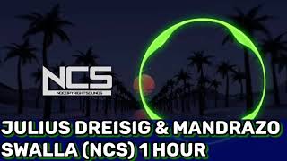 Julius Dreisig & Mandrazo - Swalla 1 hour (NCS)