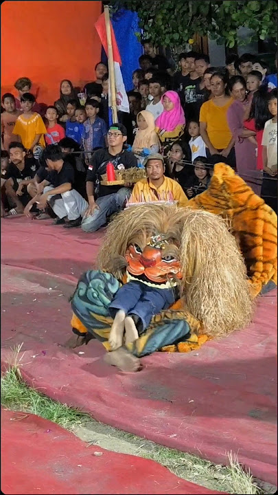 Singo barong makan orang #singobarong #barongan #trendingshorts
