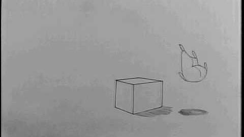 Flour sack animation test